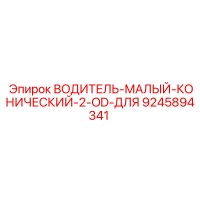 9245894341 ВОДИТЕЛЬ МАЛЫЙ КОНИЧЕСКИЙ 2