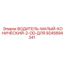9245894341 ВОДИТЕЛЬ МАЛЫЙ КОНИЧЕСКИЙ 2