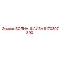 9170307890 ВОЛНА-ШАЙБА Epiroc