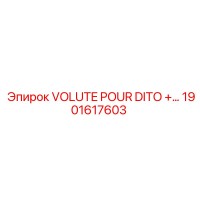 1901617603 VOLUTE POUR DITO +… Epiroc