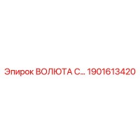 1901613420 ВОЛЮТА С… Epiroc