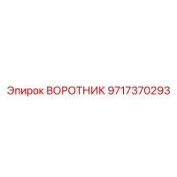 9717370293 ВОРОТНИК Эпирок