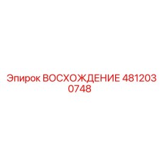 4812030748 ВОСХОЖДЕНИЕ Epiroc