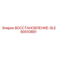 90510881 ВОССТАНОВЛЕНИЕ-SLE Epiroc
