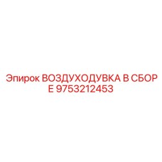 9753212453 ВОЗДУХОДУВКА В СБОРЕ Epiroc