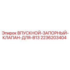 2236203404 ВПУСКНОЙ-ЗАПОРНЫЙ-КЛАПАН-ДЛЯ-B13 Epiroc
