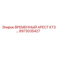 8973035427 ВРЕМЕННЫЙ АРЕСТ КТ3 Epiroc
