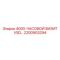 2200903294 4000-ЧАСОВОЙ ВИЗИТ VSD Epiroc