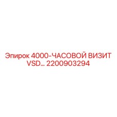 2200903294 4000-ЧАСОВОЙ ВИЗИТ VSD Epiroc