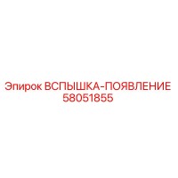 58051855 ВСПЫШКА-ПОЯВЛЕНИЕ Epiroc
