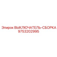 9753202995 ВЫКЛЮЧАТЕЛЬ СБОРКА Epiroc