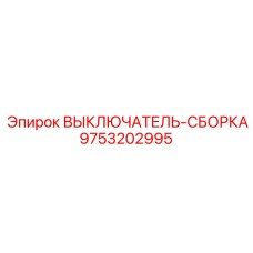 9753202995 ВЫКЛЮЧАТЕЛЬ СБОРКА Epiroc