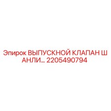 2205490794 ВЫПУСКНОЙ КЛАПАН ШАНЛИ Epiroc