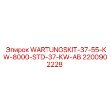 Специализированный комплект WARTUNGSKIT-37-55-KW-8000-STD-37-KW-AB Epiroc 2200902228