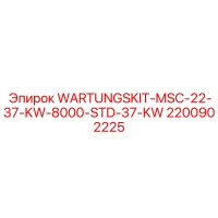 2200902225 WARTUNGSKIT-MSC-22-37-KW-8000-STD-37-KW Epiroc