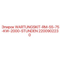 2200902230 WARTUNGSKIT-RM-55-75-KW-2000-STUNDEN Epiroc