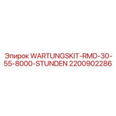 2200902286 WARTUNGSKIT-RMD-30-55-8000-STUNDEN Epiroc