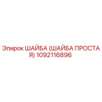 1092116896 ШАЙБА (ШАЙБА ПРОСТАЯ) Epiroc