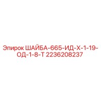 2236208237 ШАЙБА-665-ИД-Х-1-19-ОД-1-8-Т Epiroc