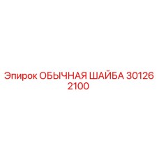 301262100 ОБЫЧНАЯ ШАЙБА Epiroc