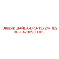 4700900303 ШАЙБА-BRB-13X24-HB200-F Epiroc