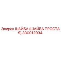 300012934 ШАЙБА (ШАЙБА ПРОСТАЯ) Epiroc