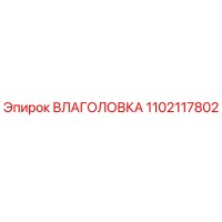 1102117802 ВЛАГОЛОВКА Epiroc