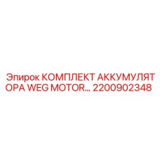 2200902348 КОМПЛЕКТ АККУМУЛЯТОРА WEG MOTOR Epiroc