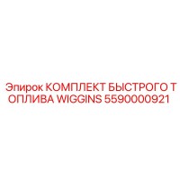 5590000921 КОМПЛЕКТ БЫСТРОГО ТОПЛИВА WIGGINS Epiroc