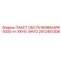 2912451306 ПАКЕТ ОБСЛУЖИВАНИЯ-1000-H-XRYS-XRVO Epiroc