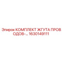 1630149111 КОМПЛЕКТ ЖГУТА ПРОВОДОВ Epiroc