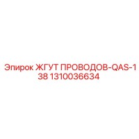 1310036634 ЖГУТ ПРОВОДОВ-QAS-138 Epiroc