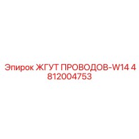 4812004753 ЖГУТ ПРОВОДОВ-W14 Epiroc