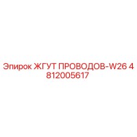 4812005617 ЖГУТ ПРОВОДОВ-W26 Epiroc