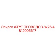 4812005617 ЖГУТ ПРОВОДОВ-W26 Epiroc
