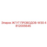 4812005645 ЖГУТ ПРОВОДОВ-W30 Epiroc