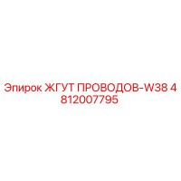 4812007795 ЖГУТ ПРОВОДОВ-W38 от Epiroc