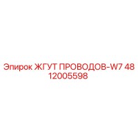 4812005598 ЖГУТ ПРОВОДОВ-W7 Epiroc