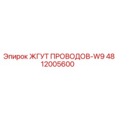 4812005600 ЖГУТ ПРОВОДОВ-W9 Epiroc