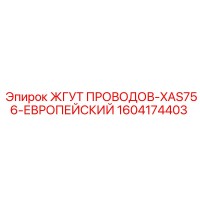 1604174403 Wire Harness-XAS756-European Epiroc