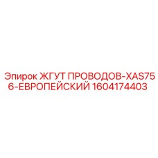 1604174403 Wire Harness-XAS756-European Epiroc