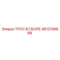 4812106699 ТРОС В СБОРЕ Epiroc