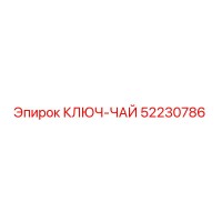 52230786 КЛЮЧ-ЧАЙ Epiroc