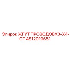 4812019651 ЖГУТ ПРОВОДОВX3-X4-ОТ Epiroc