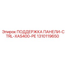 1310119650 ПОДДЕРЖКА ПАНЕЛИ-CTRL-XAS400-PE Epiroc