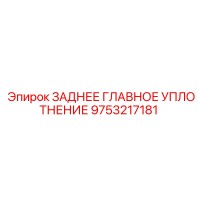 9753217181 ЗАДНЕЕ ГЛАВНОЕ УПЛОТНЕНИЕ - Epiroc