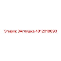 4812018893 ЗАглушка Epiroc