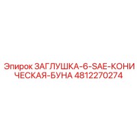 4812270274 ЗАГЛУШКА-6-SAE-КОНИЧЕСКАЯ-БУНА Epiroc
