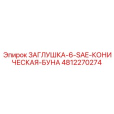 Заглушка SAE-6 4812270274 с буна-уплотнением