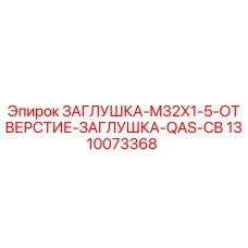 1310073368 ЗАГЛУШКА-M32X1-5-ОТВЕРСТИЕ-ЗАГЛУШКА-QAS-CB Epiroc